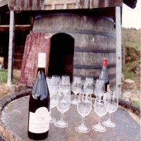 Dégustation à la cabane du domaine