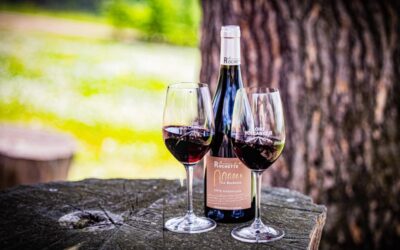 Portes ouvertes 2024