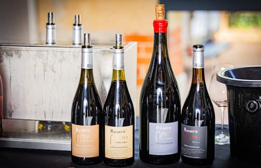 Dégustation des vins de la récolte Côte Roannaise 2023